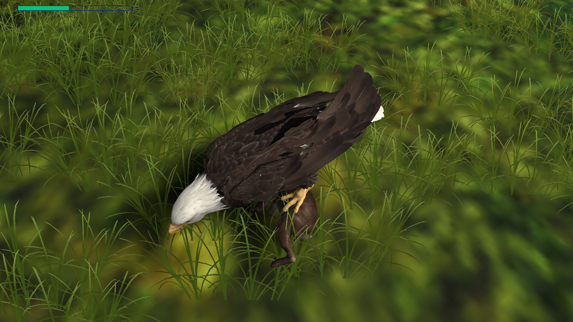 Eagle Hunting Journey Screenshot 2