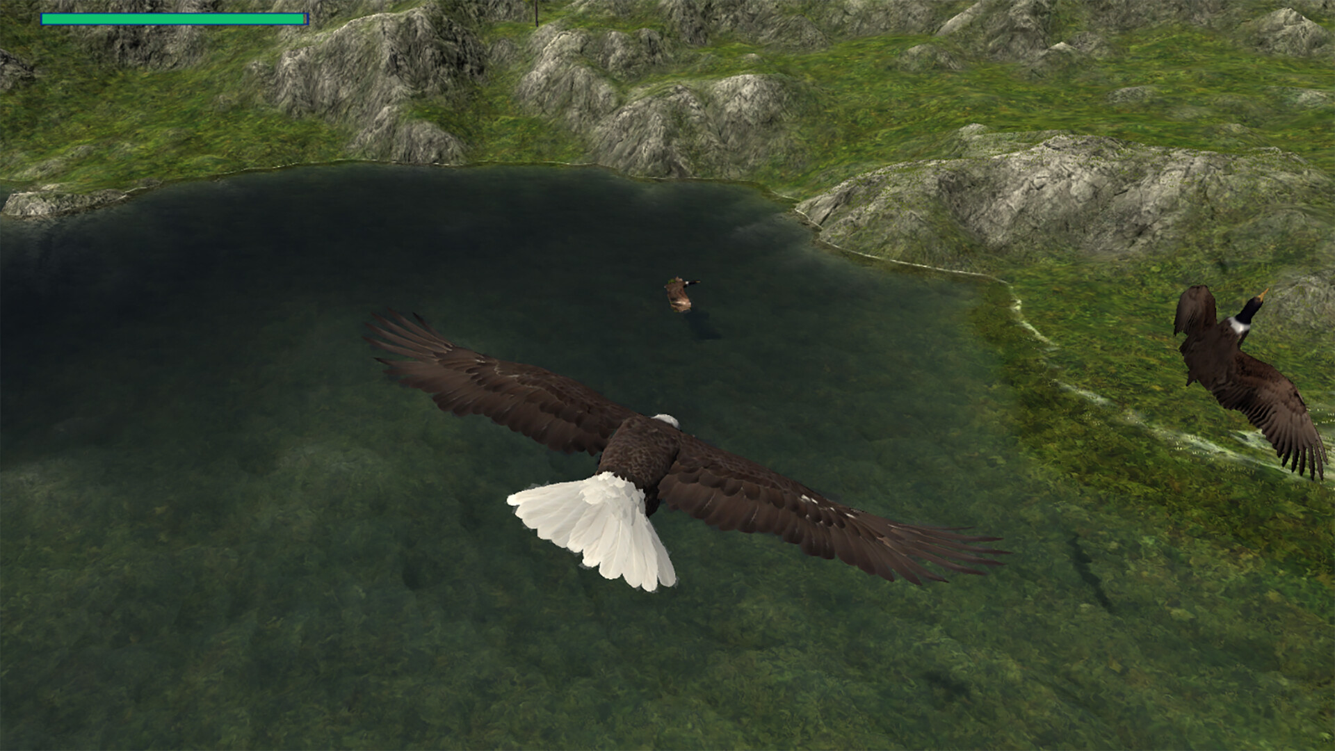 Eagle Hunting Journey Screenshot 3