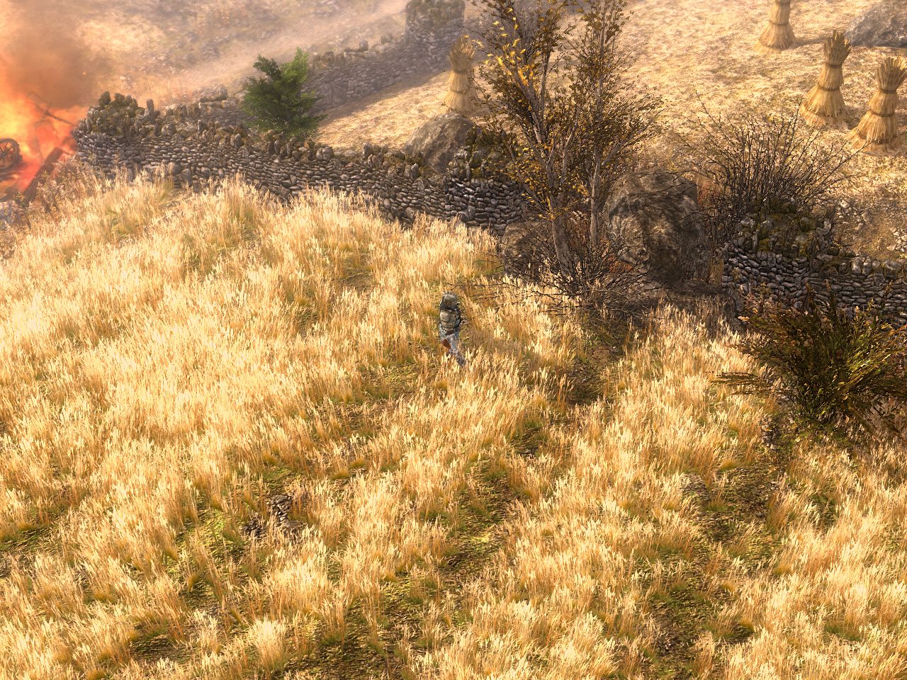 Grim Dawn Screenshot 3