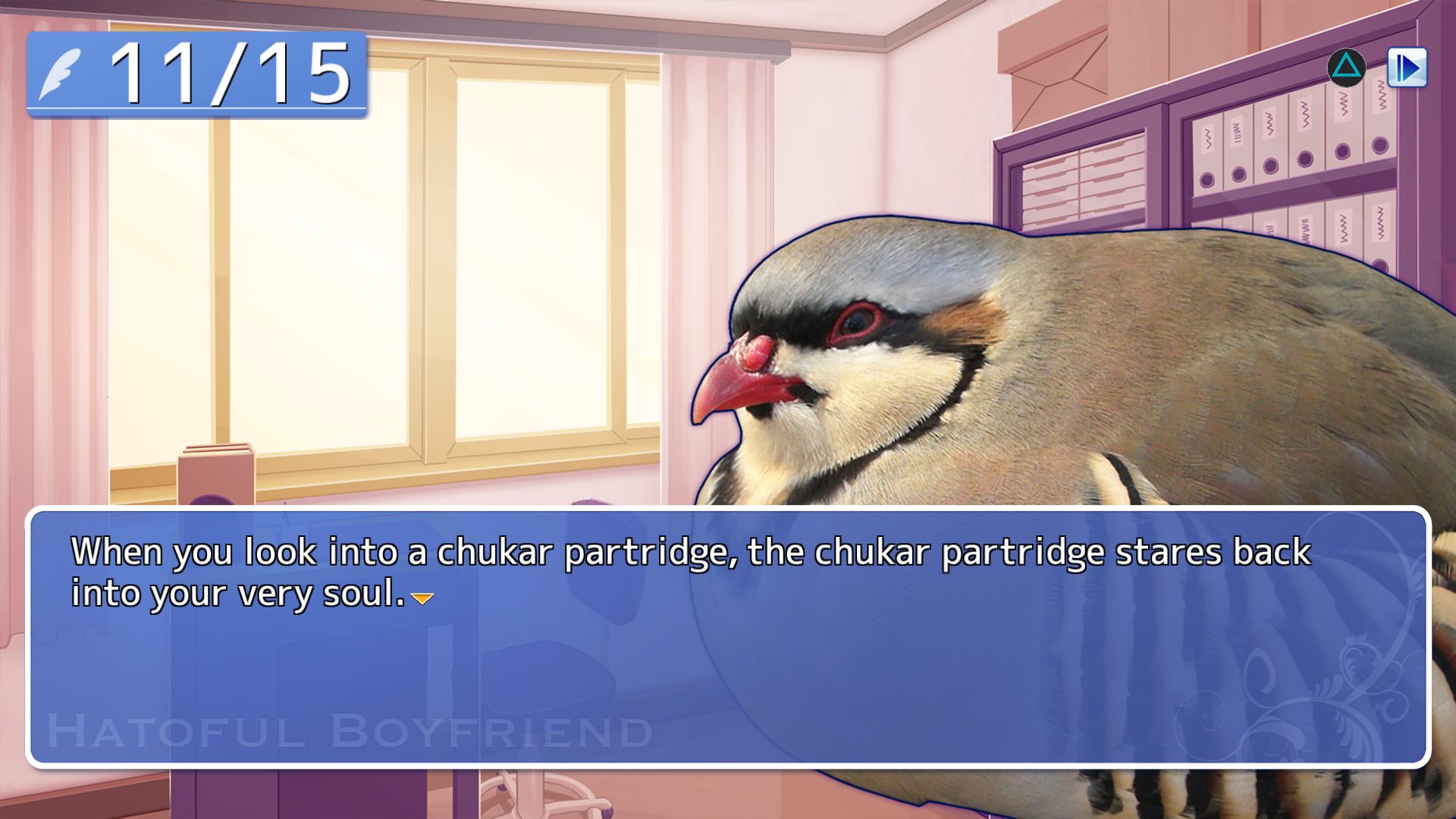 Hatoful Boyfriend Steam