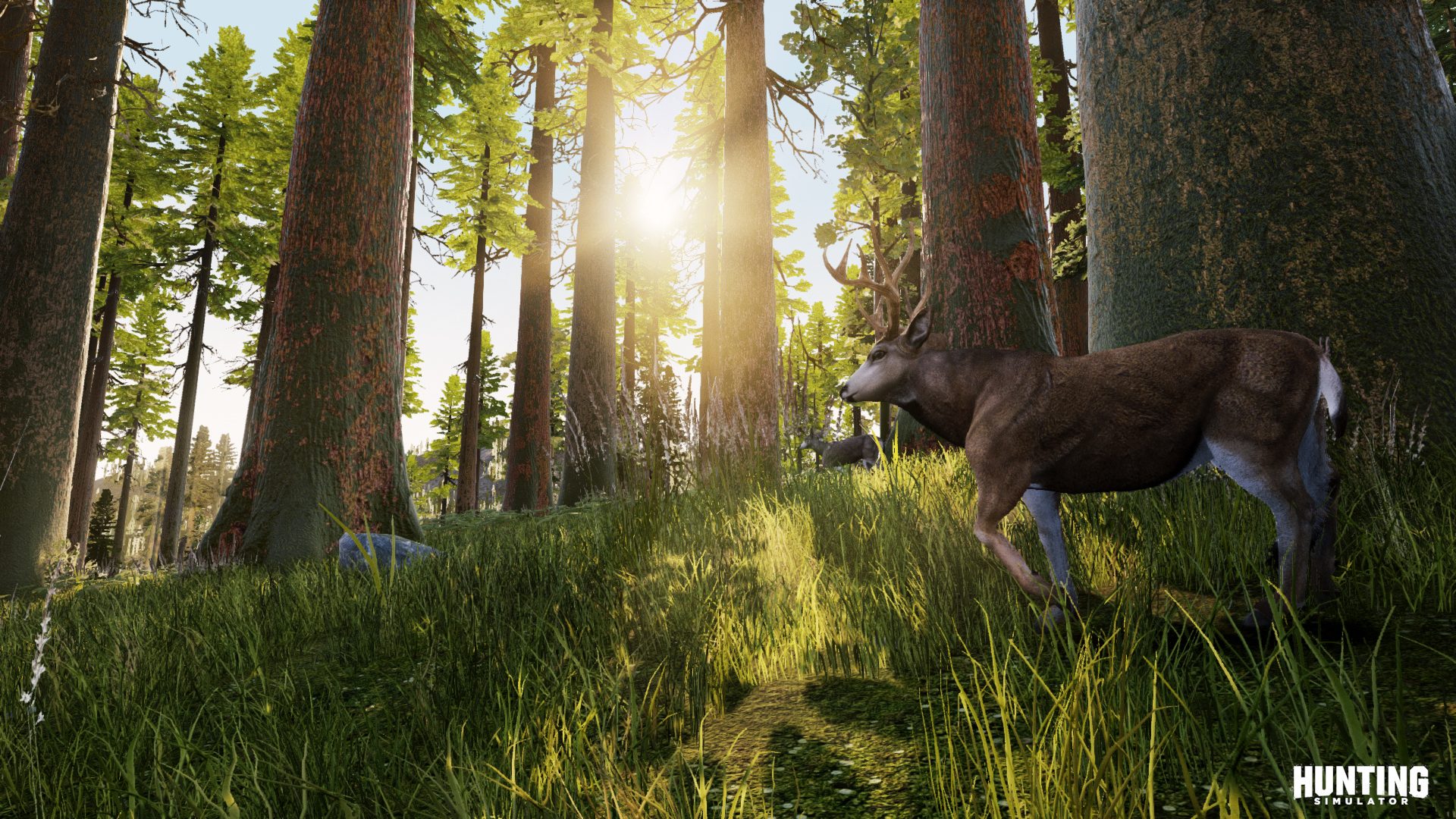 Hunting Simulator Screenshot 5