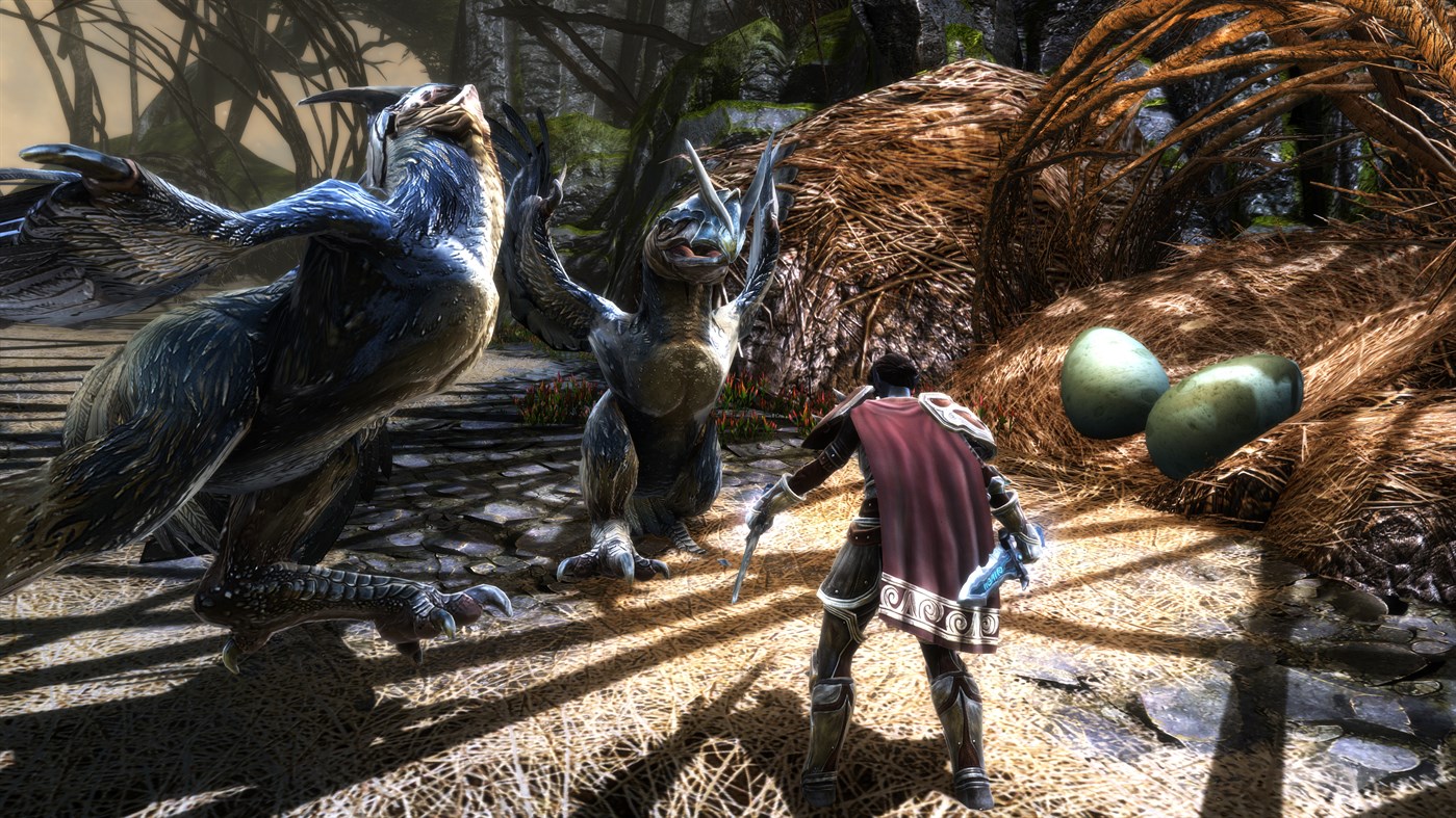 Kingdoms of Amalur: Re-Reckoning Screenshot 4