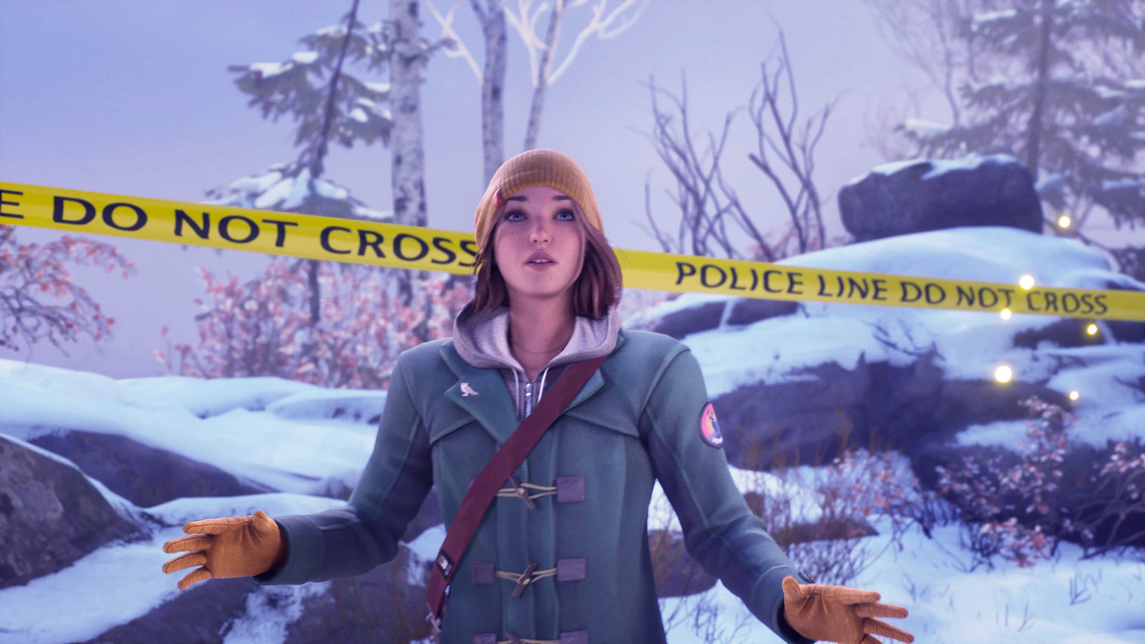 Life is Strange: Double Exposure PC Steam