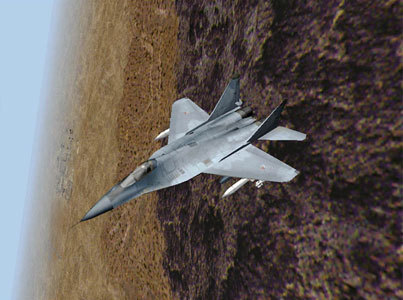 MiG-29 Fulcrum Screenshot 5