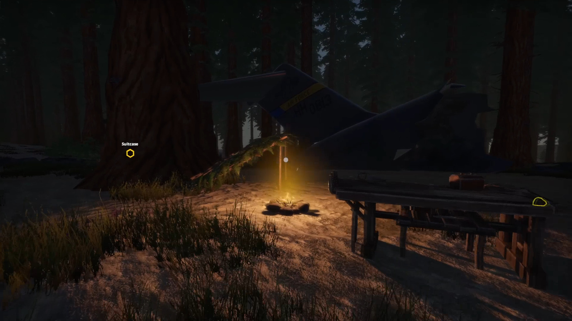 Missing Plane: Survival Screenshot 1