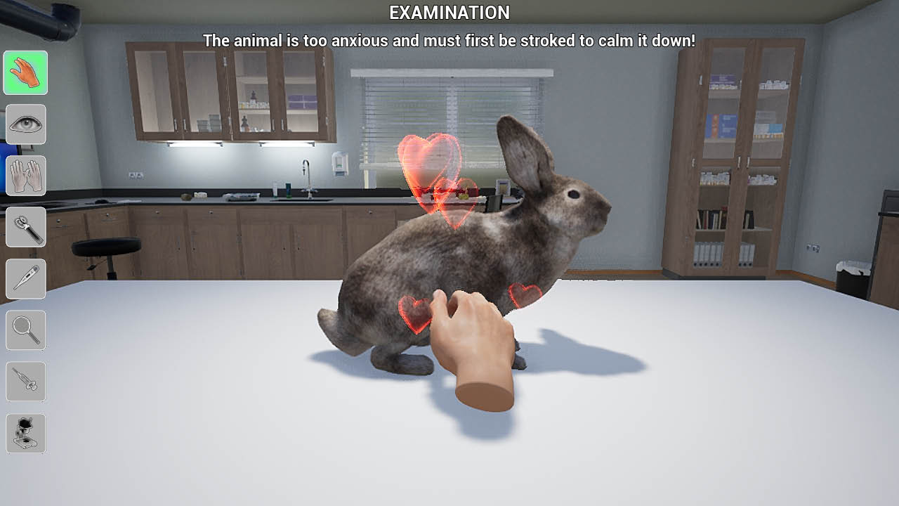My Life: Pet Vet Screenshot 2