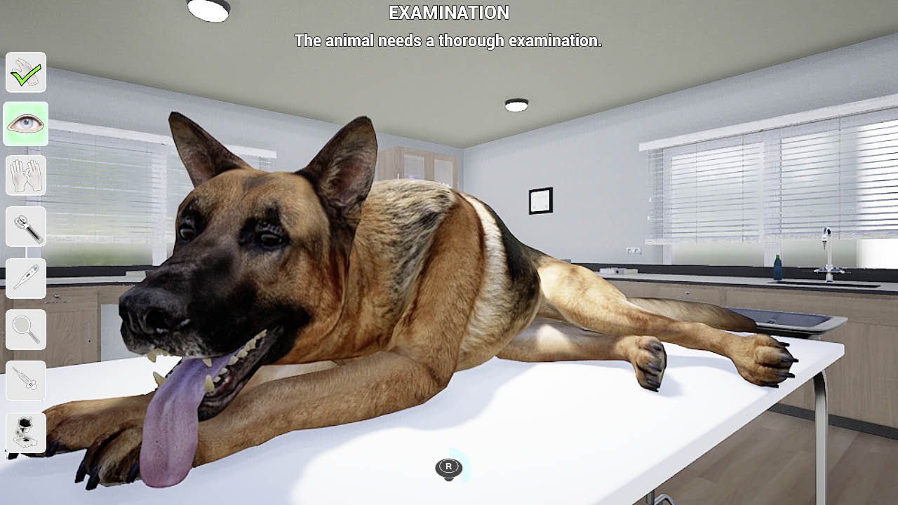 My Life: Pet Vet Screenshot 3