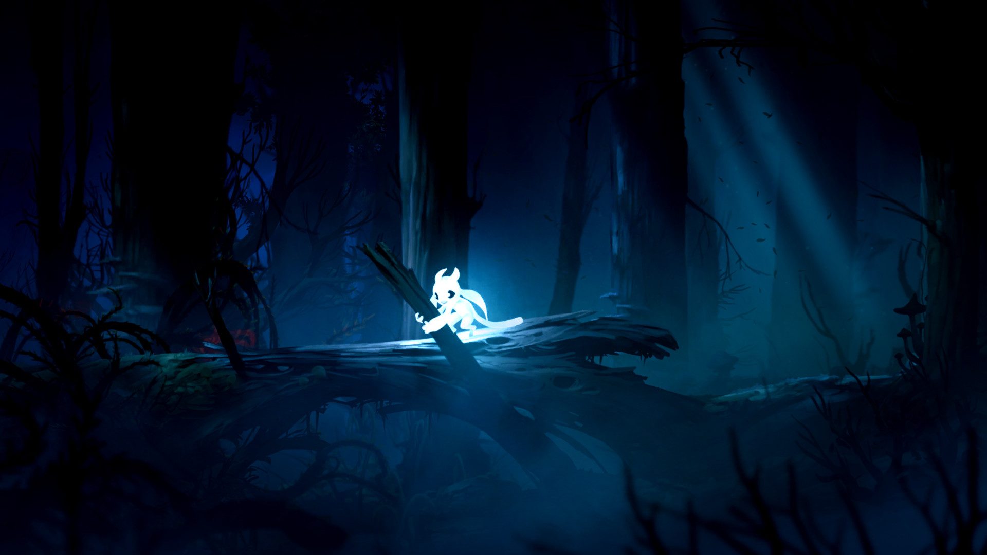 Ori and the Blind Forest: Definitive Edition NG Windows 10