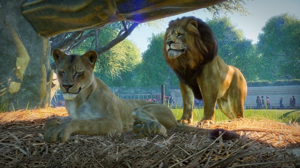 Planet Zoo Screenshot 3