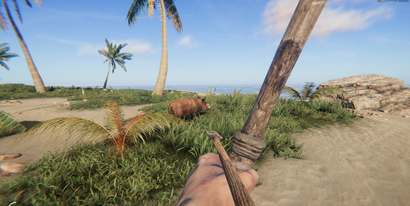 Project Castaway Screenshot 1