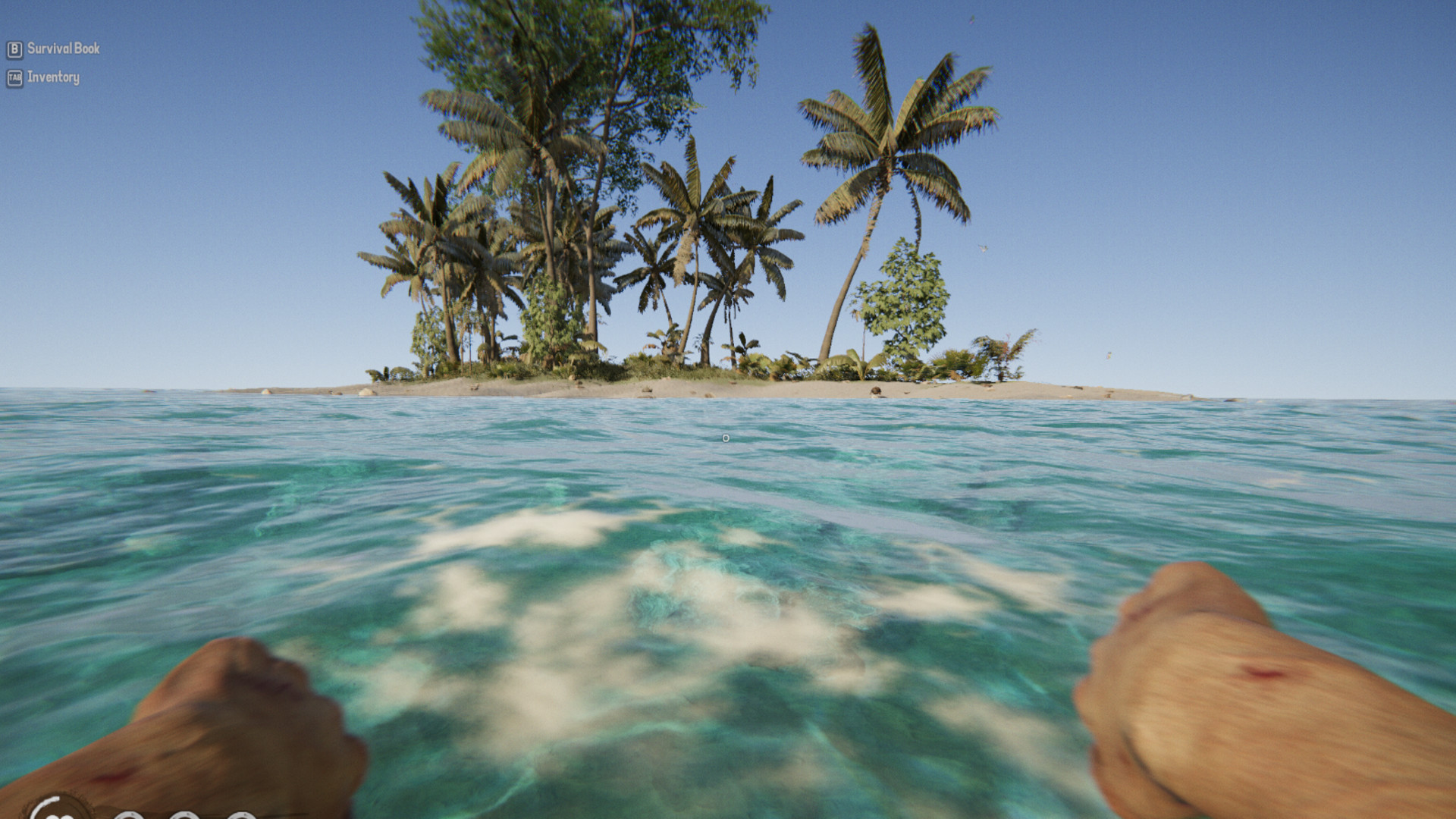 Project Castaway Screenshot 4