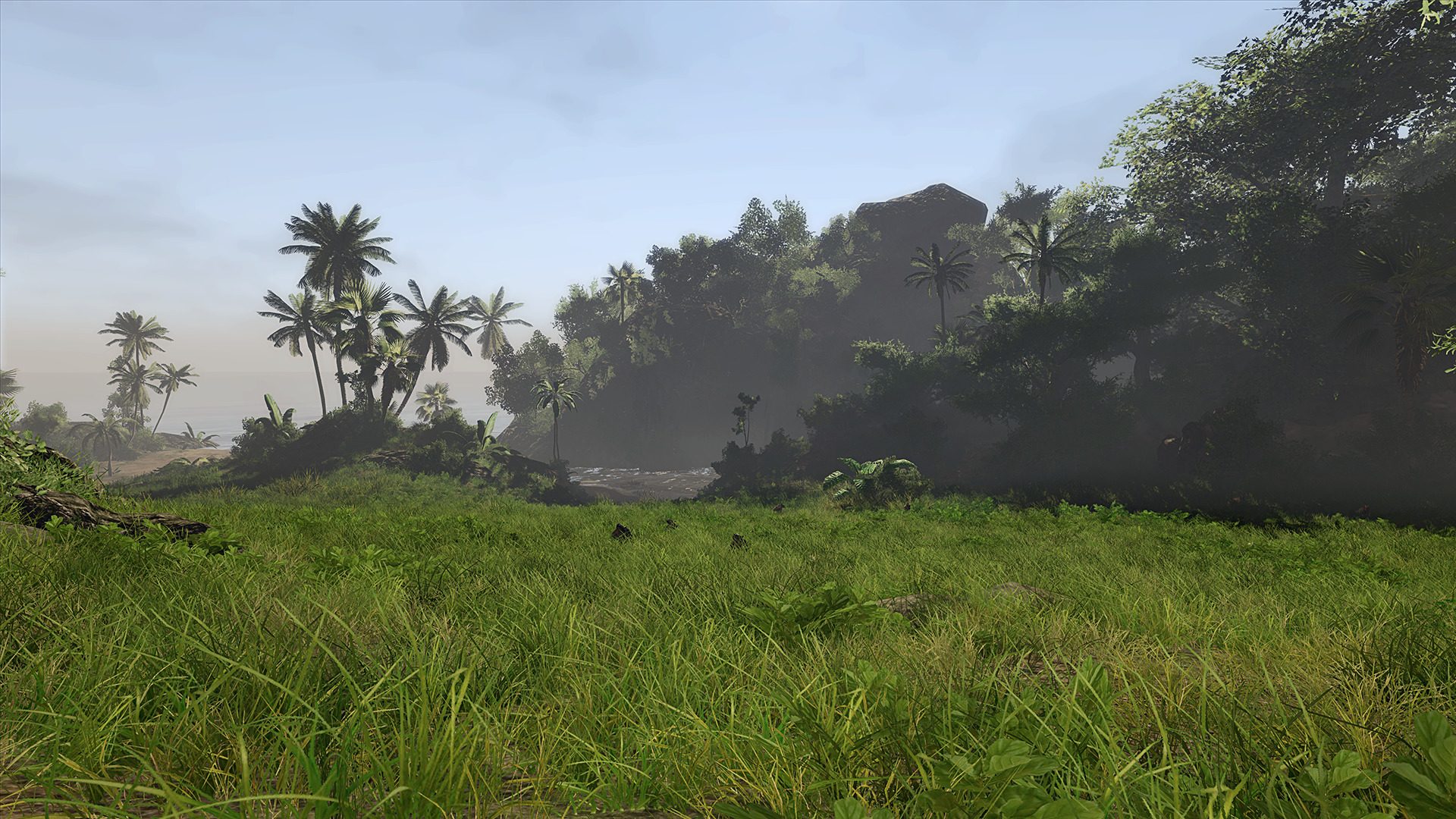 Risen 2: Dark Waters Screenshot 2