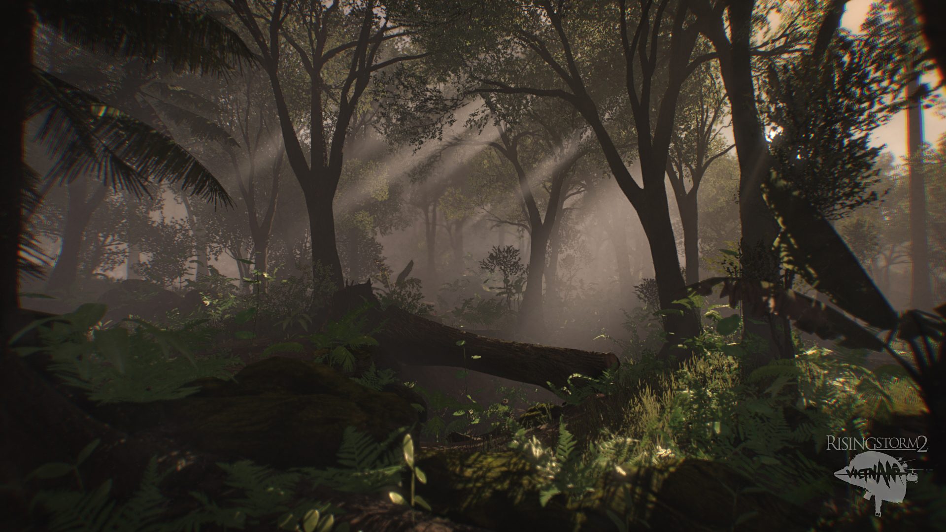 Rising Storm 2: Vietnam Screenshot 3