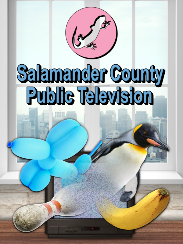 Salamander County Public Television XBOX One / Xbox Series X|S CD Key
