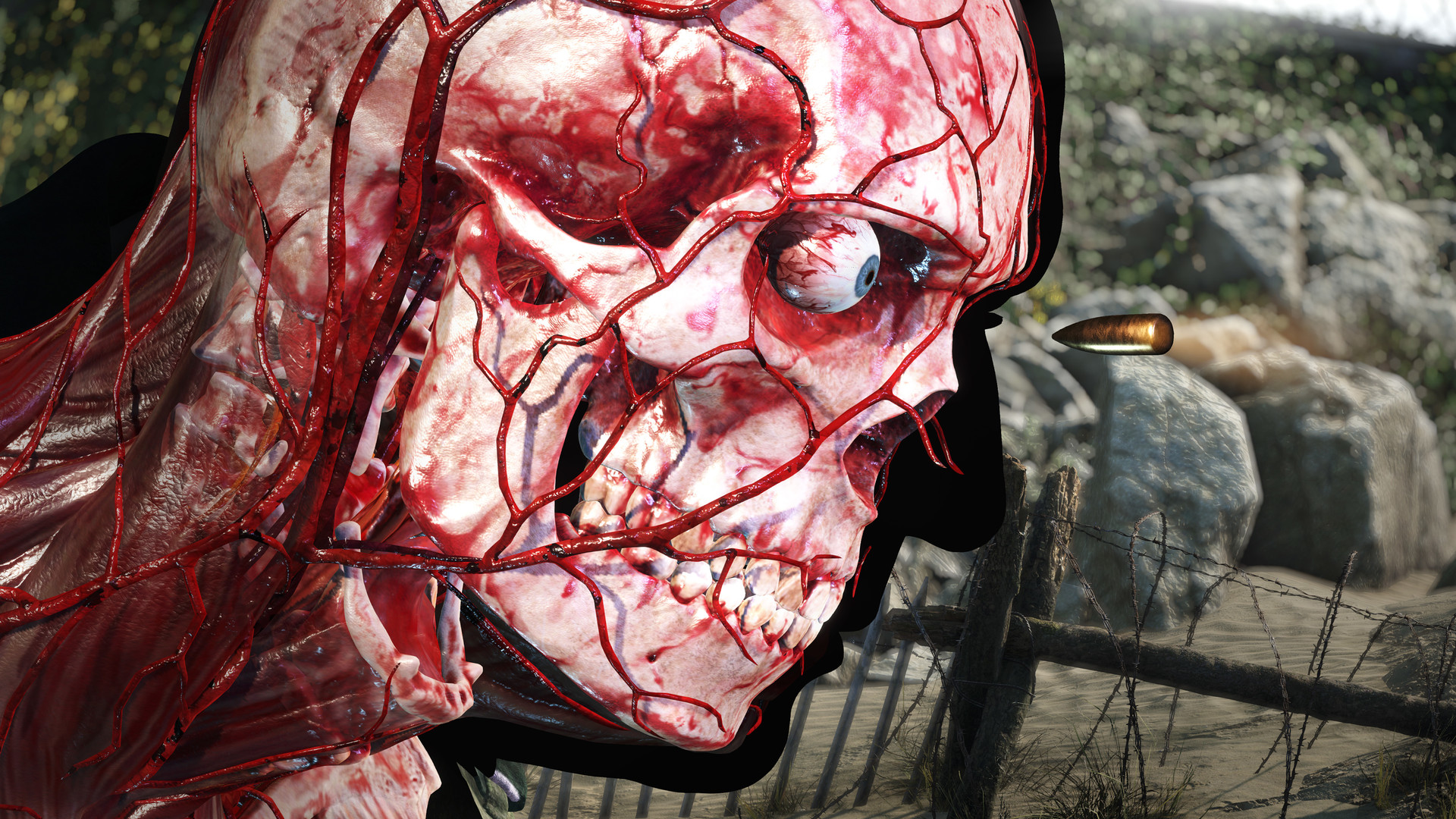 Sniper Elite 5 Screenshot 3