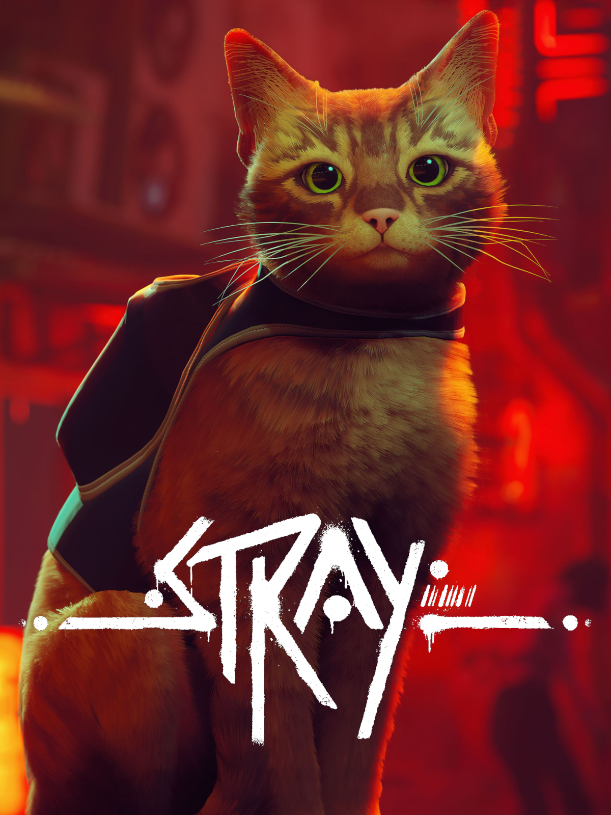 Stray Steam Altergift