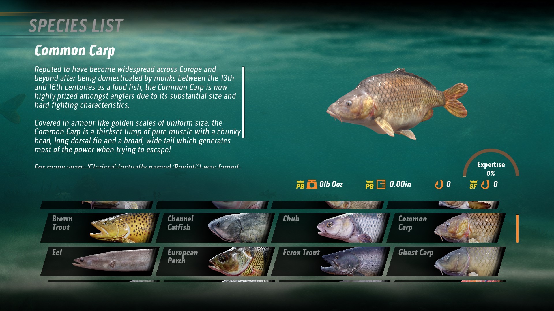 The Catch: Carp & Coarse Fishing Collector's Edition Steam