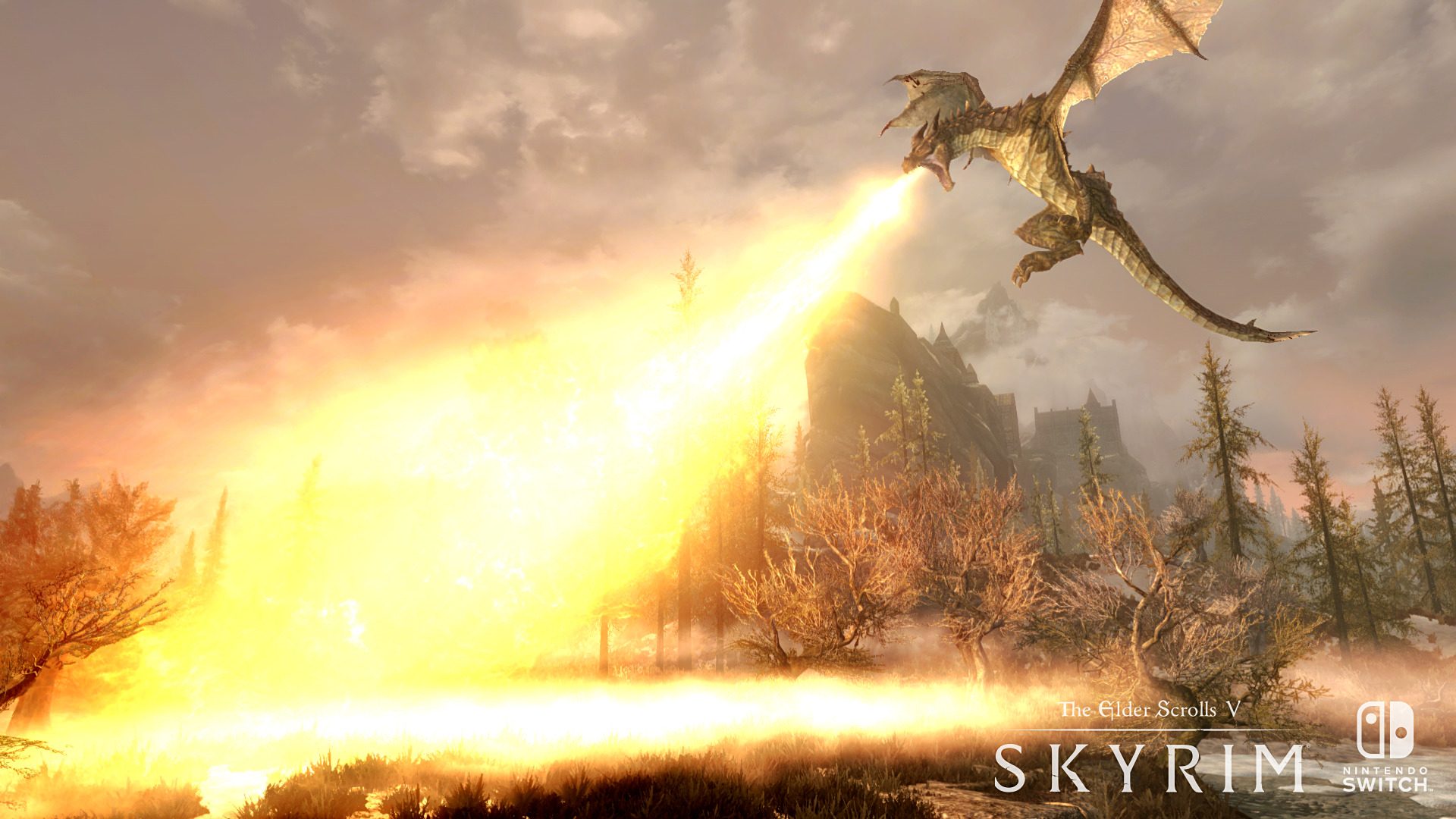 The Elder Scrolls V: Skyrim Switch Screenshot 4