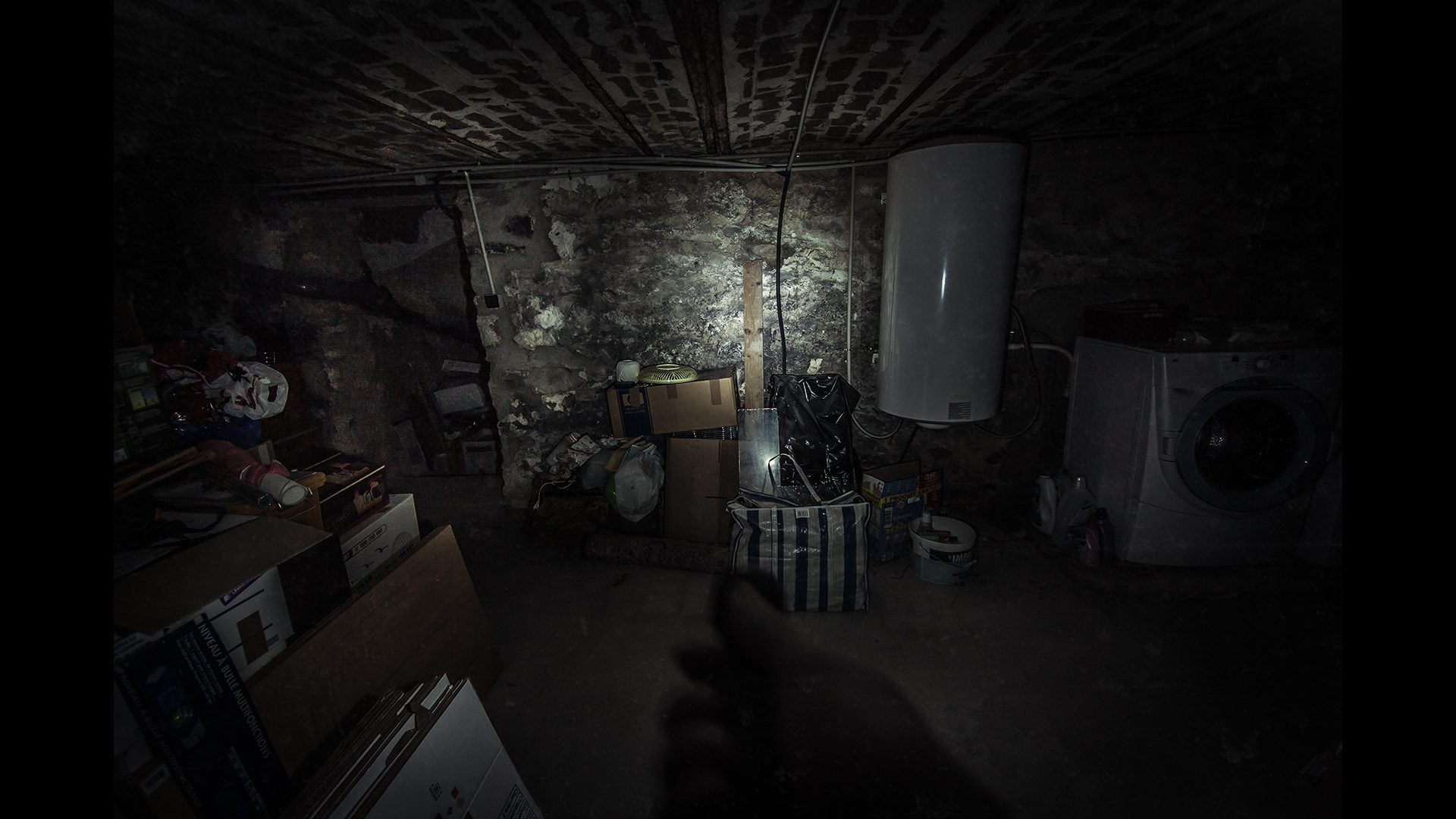 The Fan Screenshot 1