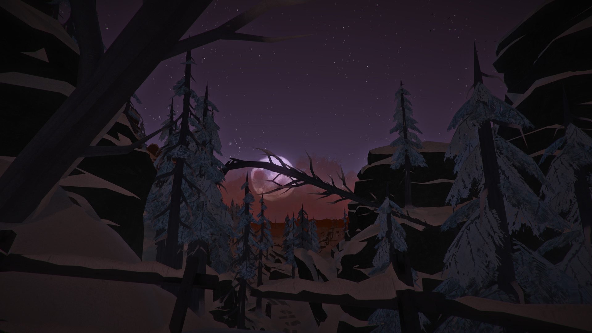 The Long Dark Screenshot 1