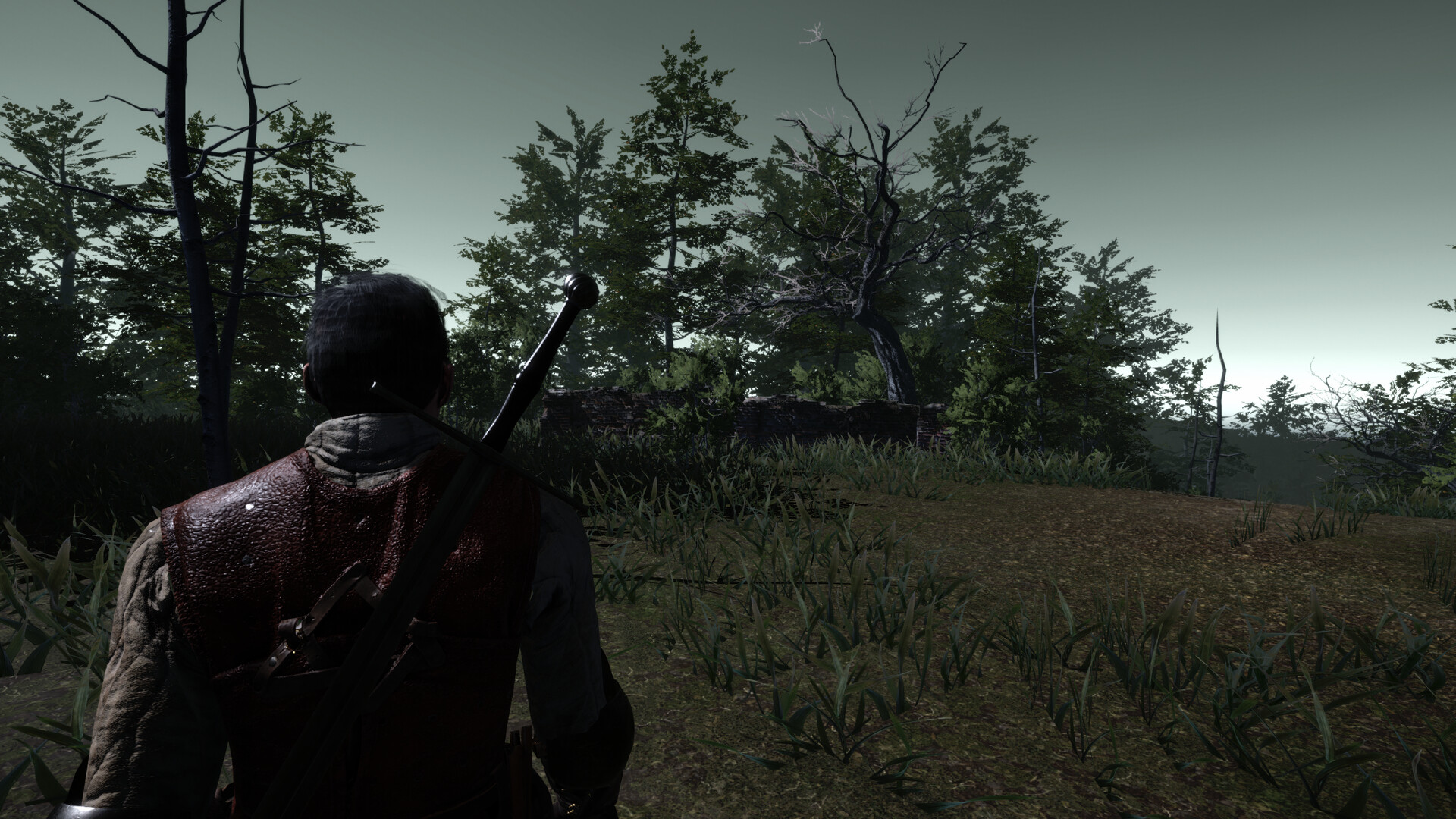 The Witch's Redemption Screenshot 2