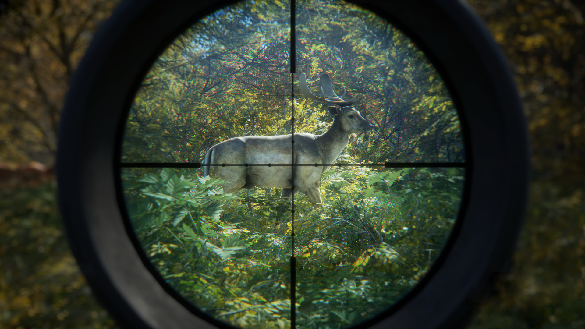 theHunter: Call of the Wild - Greenhorn Bundle PC Windows 10 Account