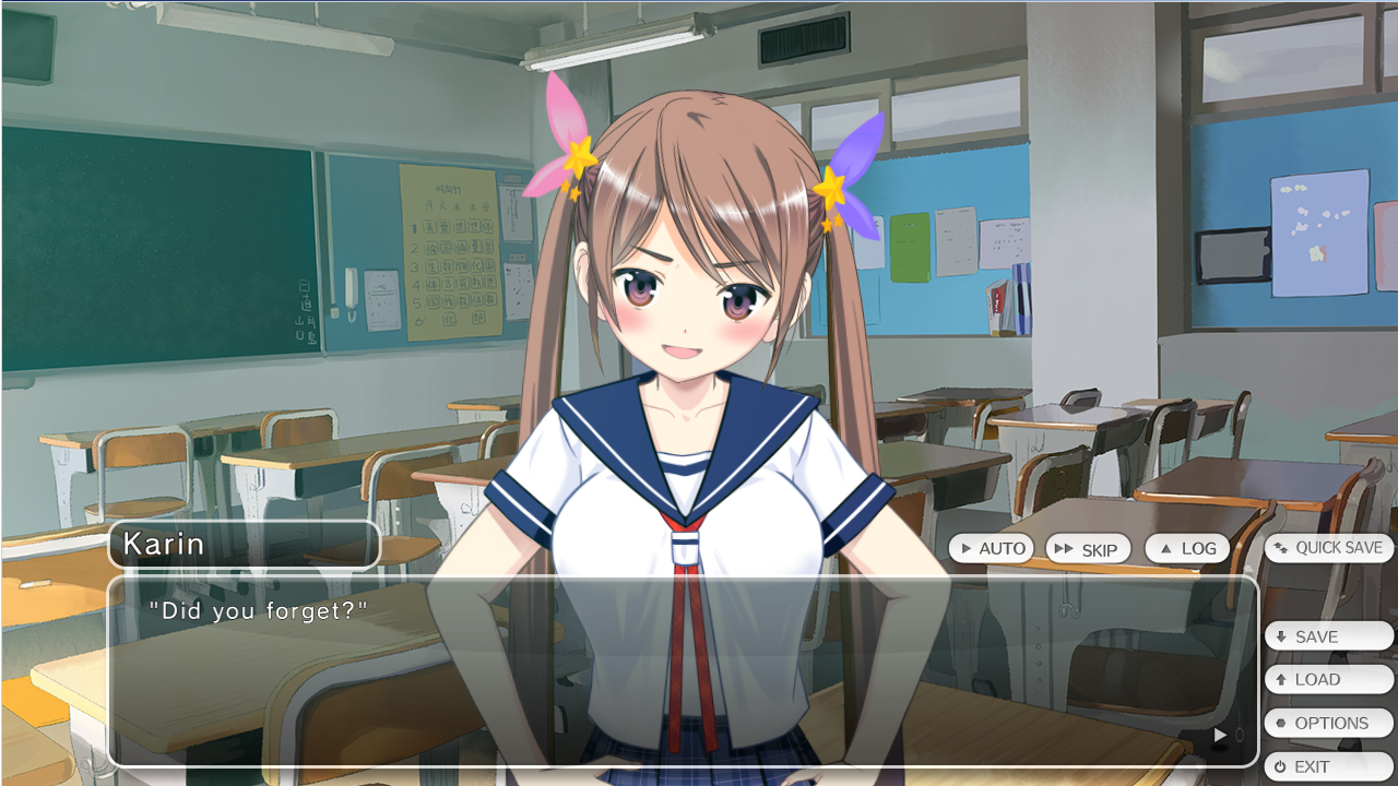 Tokyo School Life Steam