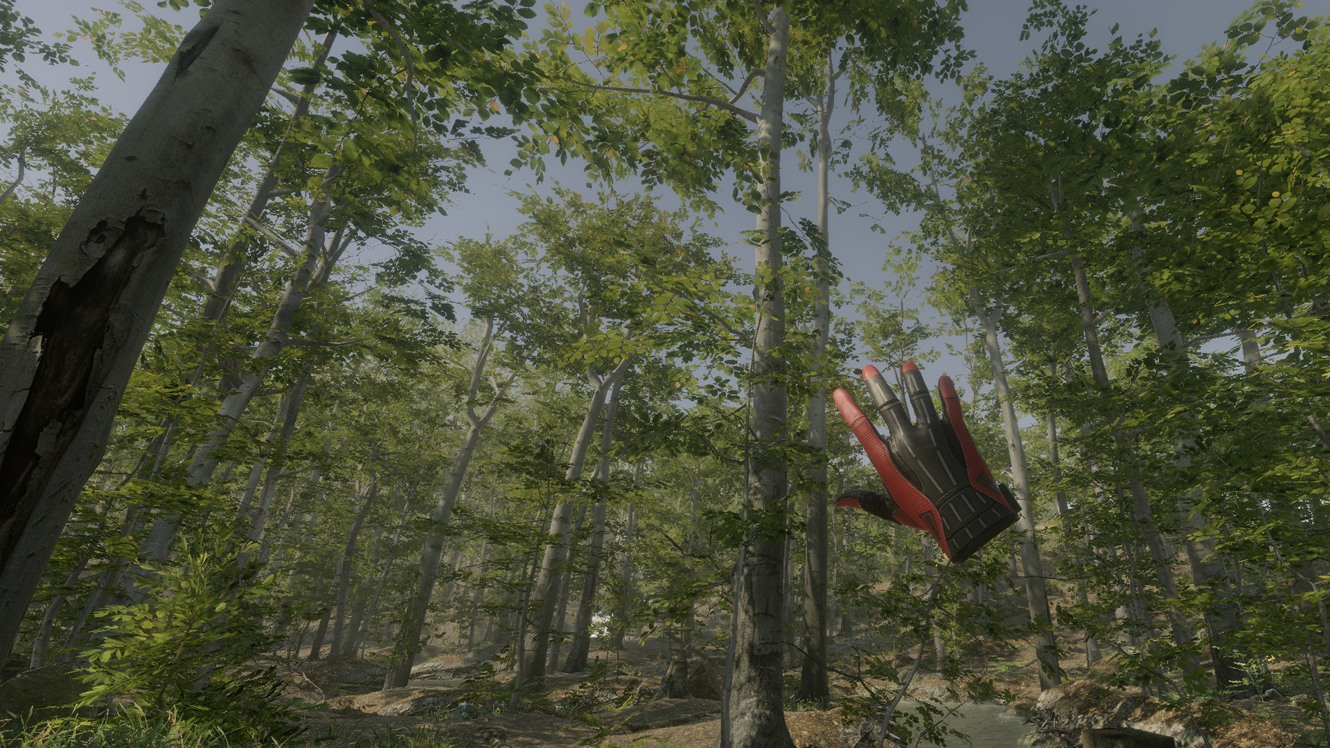 VR Walking Simulator Screenshot 1