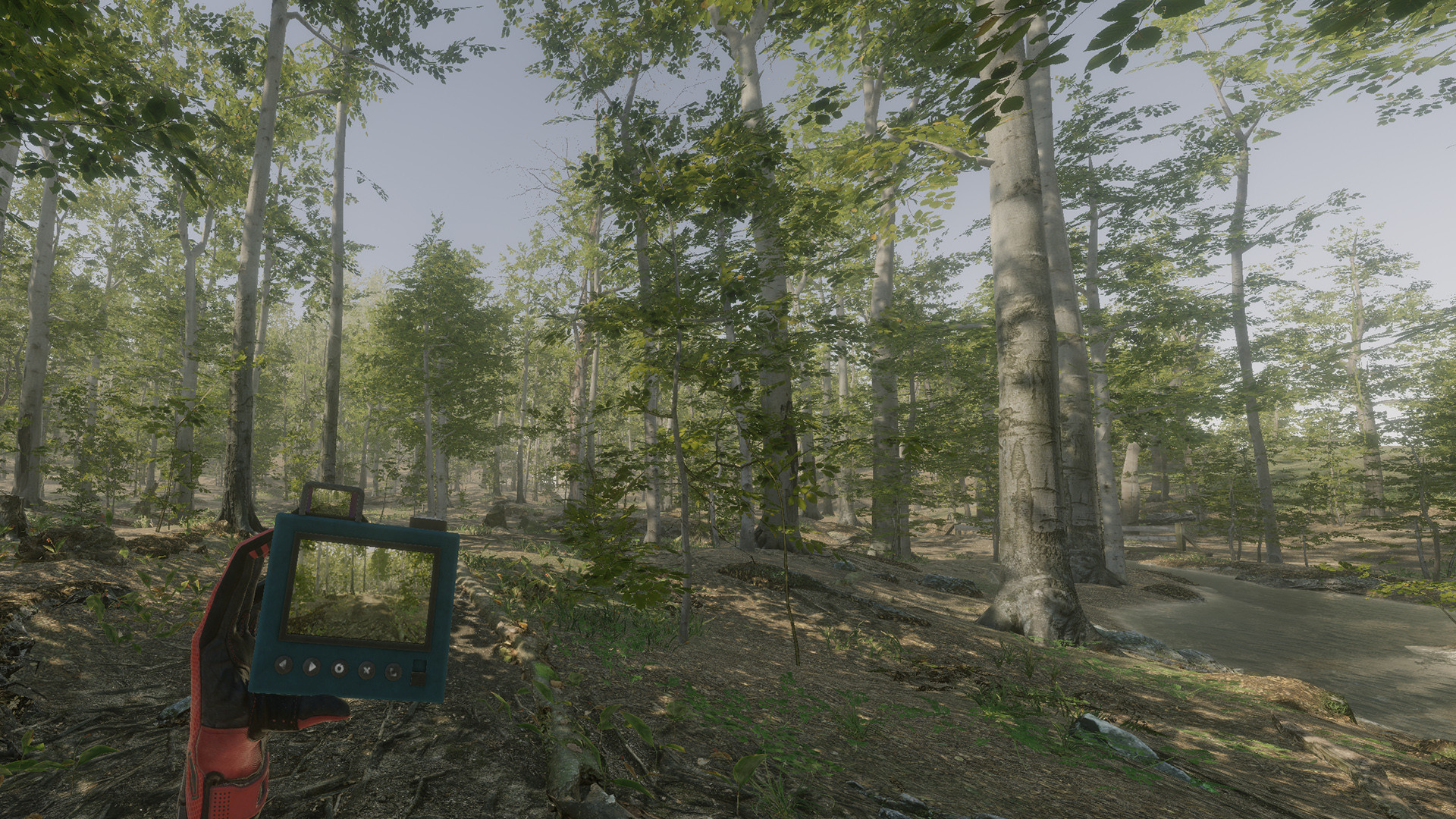 VR Walking Simulator Screenshot 2