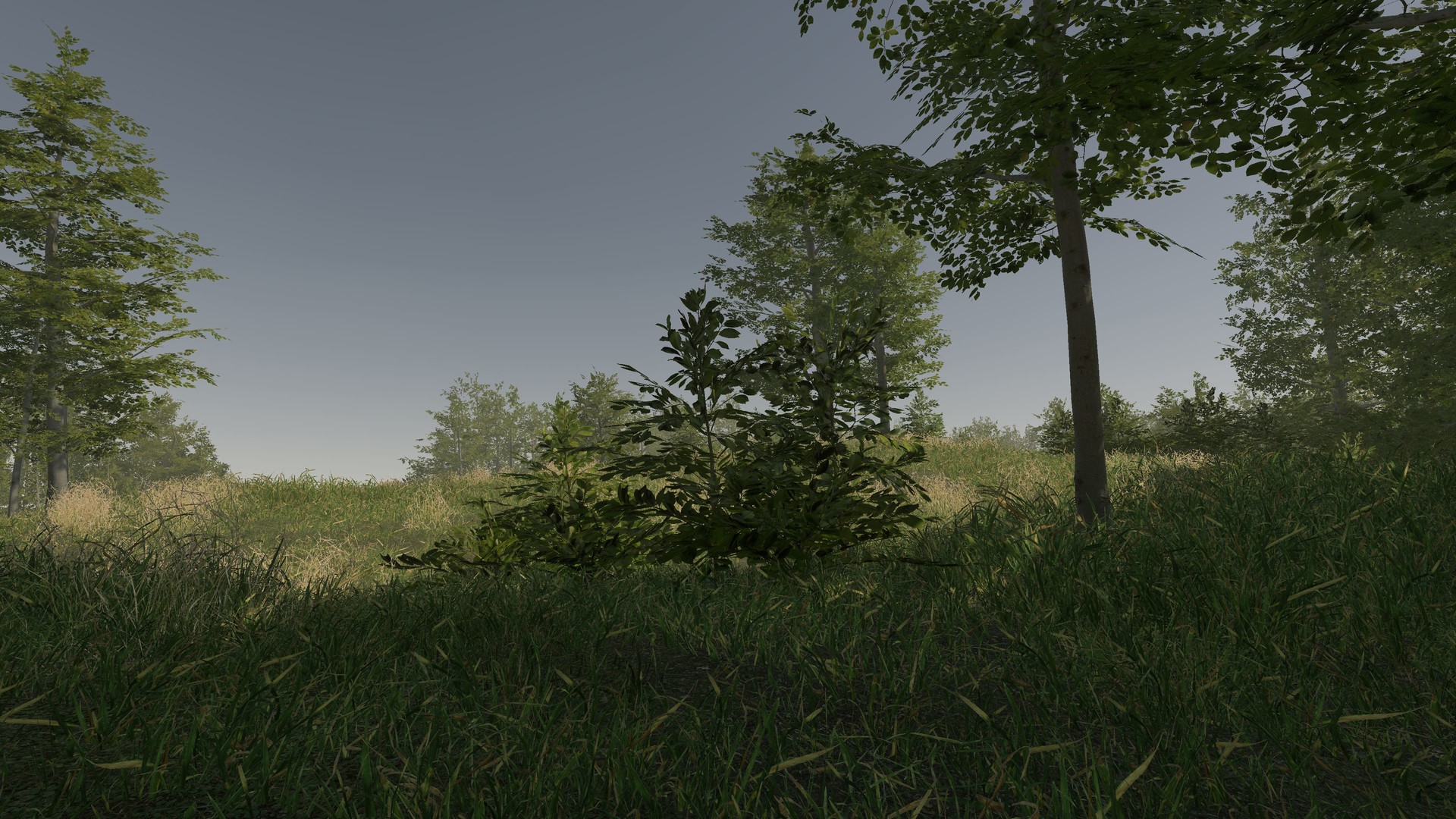 VR Walking Simulator Screenshot 3