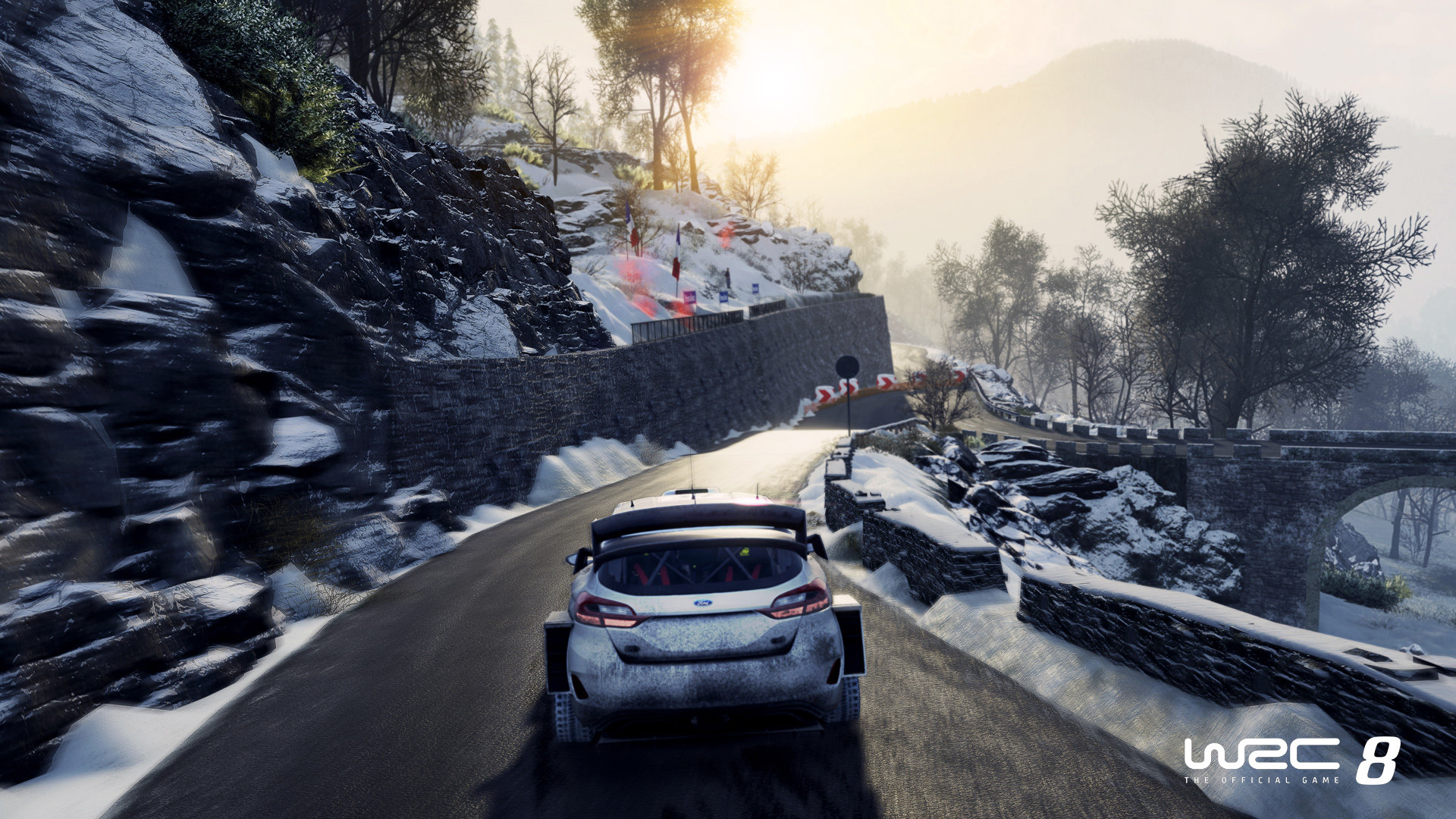 WRC 8 Screenshot 1