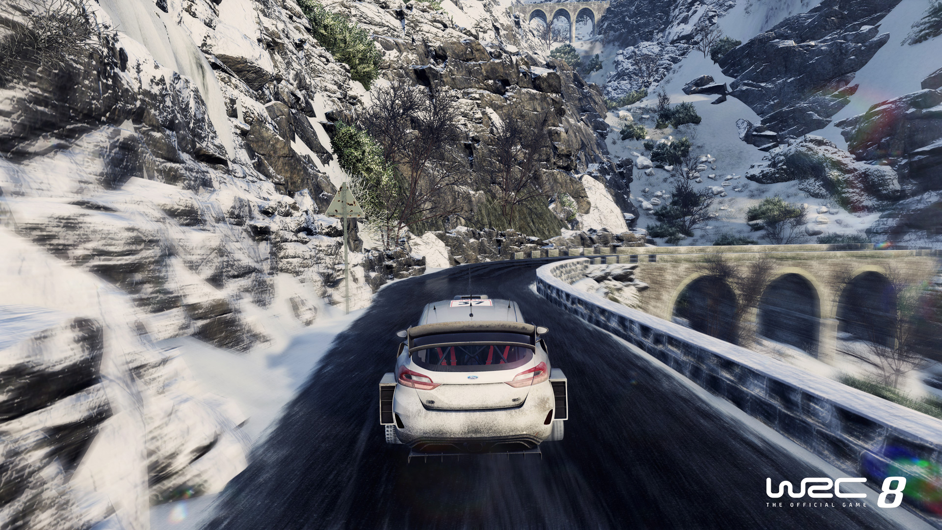 WRC 8 Screenshot 2