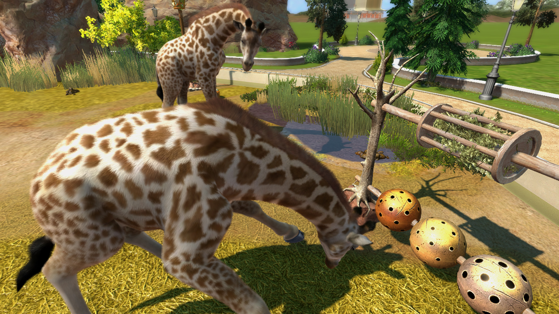 Zoo Tycoon Screenshot 1