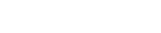 API FORGE logo