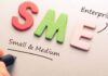 micro small and medium enterprises msmes x