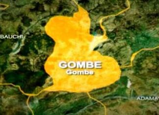 bee gombe state map