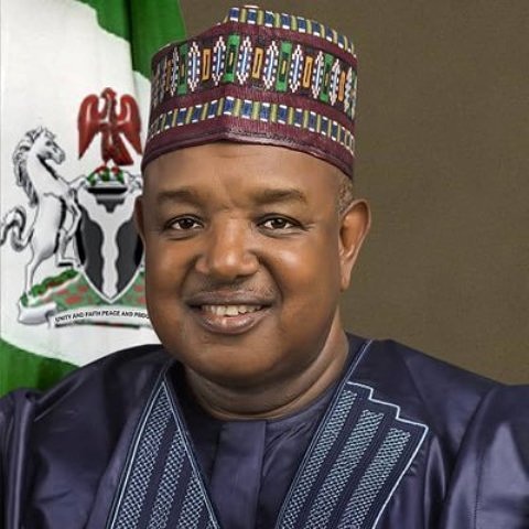 Goal of producing 30m tonnes of rice yearly by 2023 achievable by Nigeria- Bagudu   