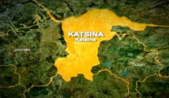 Katsina fg begins data collection for terrorism victims - nigeria newspapers online