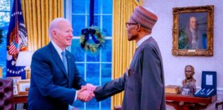 bdb buhari and biden x