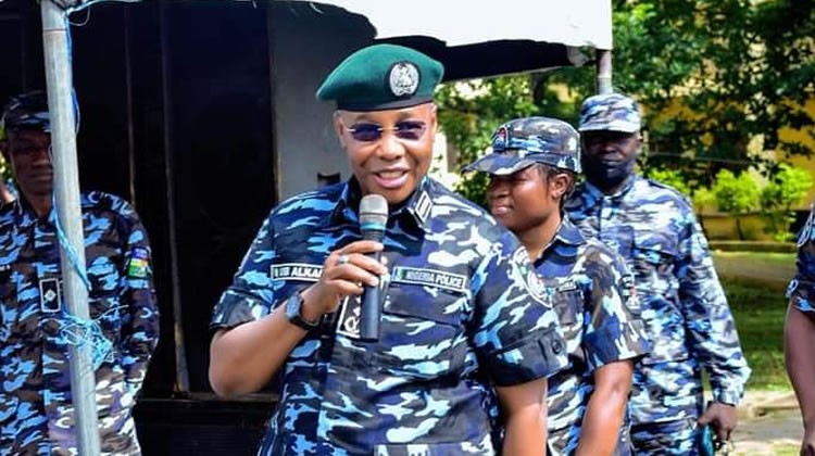 Igp launches online platform to tackle car theft - nigeria newspapers online