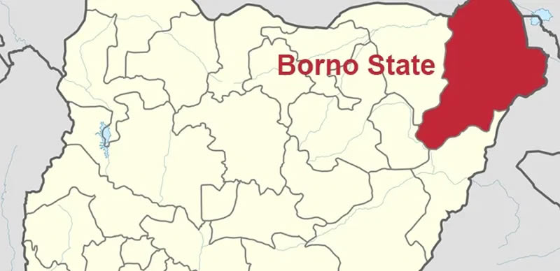 Elections to hold in borno super camps - nigeria newspapers online