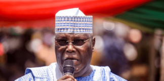 aefe atiku abubakar