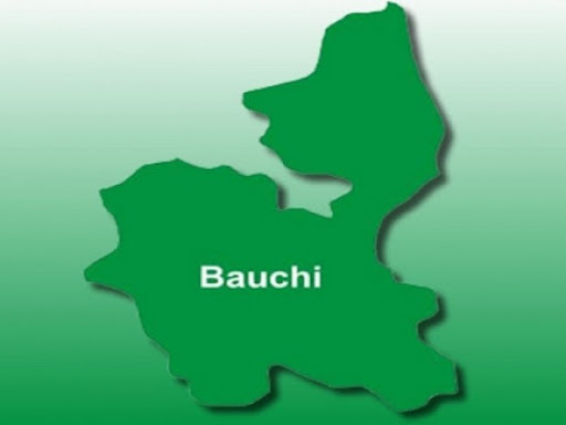 Six die in bauchi road crash - nigeria newspapers online