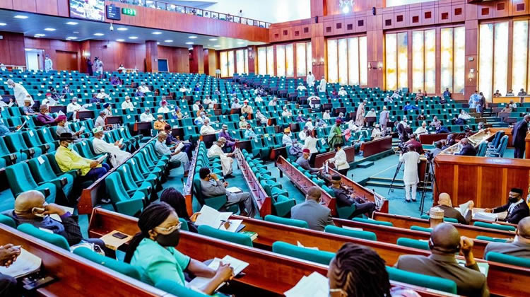 Akoko and adeogun representation at house of reps - nigeria newspapers online