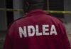 cd ndlea