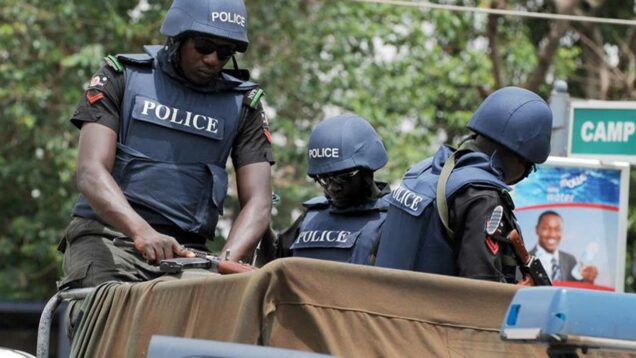 Ogun man arrested while having blood bath