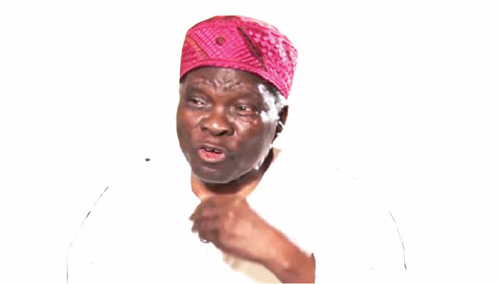 Akintoye didnt abandon struggle yoruba nation - nigeria newspapers online