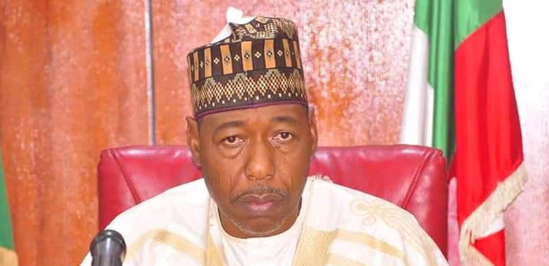 Zulum orders completion of Borno community water project
