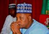 caec shettima wants thieves of displaced persons food jailed