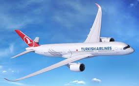 Turkish airlines plane returns to ugandas airport after bird strike during take-off - nigeria newspapers online